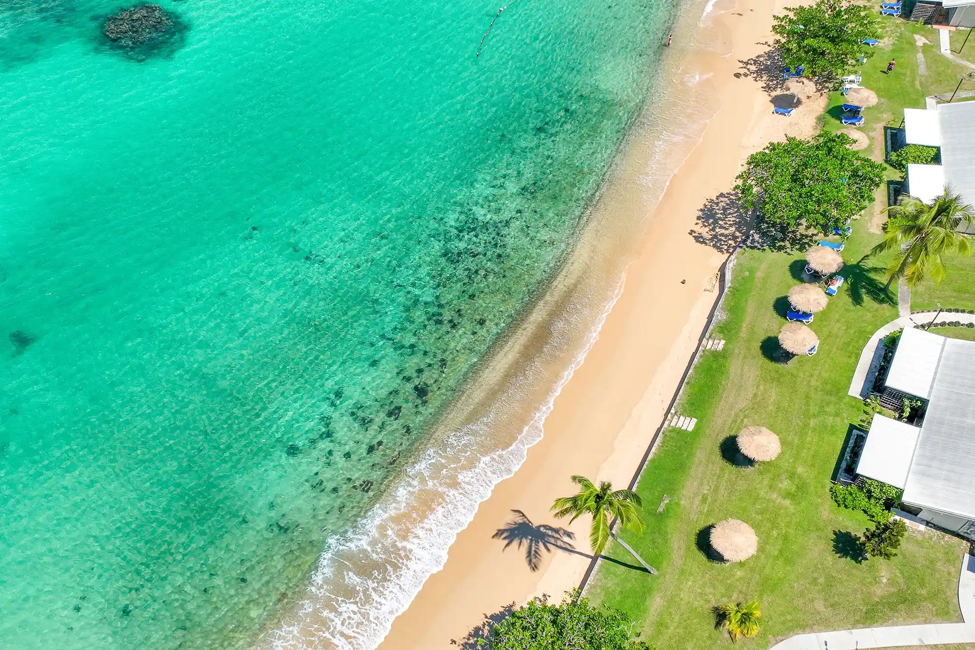 Beach-Seagrapes-Beach-02