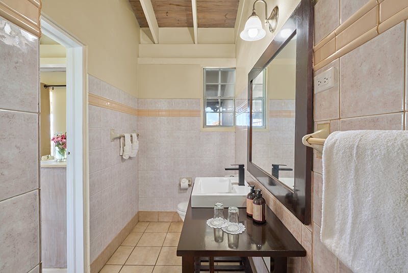 Beachfront Bungalow Bathroom-01